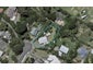 14 Horomona Road, Paekakariki - Carousel 1