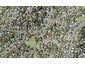 1 Weetman Drive, Browns Bay, Auckland - Carousel 1