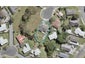 11 Speargrass Grove, Timberlea, Upper Hutt - Carousel 1