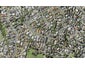 33A Sorrel Crescent, Bucklands Beach, Auckland - Carousel 1