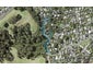 12 Tree Fern Trail, Campbells Bay, Auckland - Carousel 1