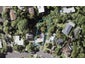 32 Robley Crescent, Glendowie, Auckland - Carousel 1