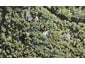 115 Lone Kauri Road, Karekare, Auckland - Carousel 1