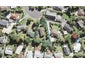 12 Neilon Place, Northcross, Auckland - Carousel 1
