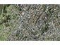 1/4 CORONATION street, Belmont, Auckland  - Carousel 1
