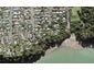 25 Harrybrook Road, Green Bay, Auckland - Carousel 1