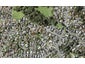 12A Etherege Place, Howick, Auckland - Carousel 1