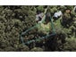 74A Park Road, Glenfield, Auckland - Carousel 1