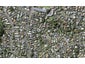 33A Geraldine Place, Kohimarama, Auckland - Carousel 1
