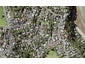 20 Karaka Park Place, Glendowie, Auckland - Carousel 1