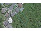 11 Caldwell Street, Karori, Wellington - Carousel 1