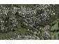 97 Queens Drive, Oneroa, Waiheke Island - Carousel 1