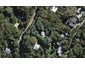 20 Glen Brook Road, Omiha, Waiheke Island - Carousel 1