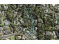 19 Woodfern Crescent, Titirangi, Auckland - Carousel 1