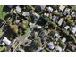 65 Alverston Street, Waterview, Auckland - Carousel 1