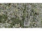 22 Hydra Place, Glen Eden, Auckland - Carousel 1