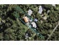 35 Albert Crescent, Ostend, Waiheke Island - Carousel 1