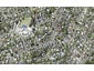 63 Matipo Road, Mairangi Bay, Auckland - Carousel 1