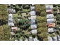 52 Selbourne Street, Grey Lynn, Auckland - Carousel 1