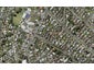 43B Belmont Terrace, Milford, Auckland - Carousel 1