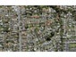 14/22 Cleland Crescent, Blockhouse Bay, Auckland - Carousel 1
