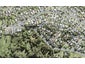 520 Whangaparaoa Road, Stanmore Bay, Whangaparaoa - Carousel 1