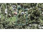 18 Clayden Drive, Gulf Harbour, Whangaparaoa - Carousel 1