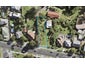 64 New Windsor Road, New Windsor, Auckland - Carousel 1