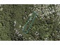 209 Konini Road, Titirangi, Auckland - Carousel 1