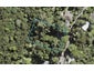 51 Kauri Point Road, Laingholm, Auckland - Carousel 1