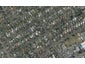 39 Argyle Avenue, Takaro, Palmerston North - Carousel 1