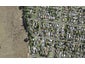 2/1 Beach Road, Weymouth, Auckland - Carousel 1