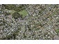 2/73 Moore Street, Howick, Auckland - Carousel 1