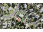 157 Methuen Road, New Windsor, Auckland - Carousel 1