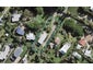 9 Kuaka Road, Oneroa, Waiheke Island - Carousel 1