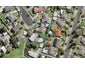 16 Mayer Place, Ranui, Auckland - Carousel 1