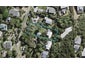 12 Miro Road, Palm Beach, Waiheke Island - Carousel 1