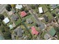 5 Le Ruez Place, Maunu, Whangarei - Carousel 1