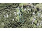 56 Mountain Road, Henderson Valley, Auckland - Carousel 1