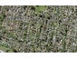 5/8 Bagnall Avenue, Point England, Auckland - Carousel 1