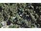 18 Warner Park Avenue, Laingholm, Auckland - Carousel 1