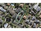 10A Ferguson Avenue, Greenlane, Auckland - Carousel 1