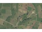 299 Mangaorongo Road, Otorohanga, Otorohanga - Carousel 1