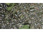6/63B Owairaka Avenue, Mount Albert, Auckland - Carousel 1