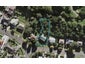 22 Fyvie Avenue, Mount Roskill, Auckland - Carousel 1