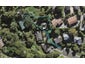 10 Menear Lane, Hillcrest, Auckland - Carousel 1
