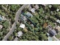 10 Church Bay Road, Oneroa, Waiheke Island - Carousel 1