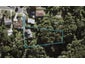 29 Wernham Place, Northcote, Auckland - Carousel 1