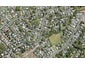 28 Kashmir Road, Glen Eden, Auckland - Carousel 1