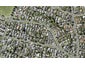 6/44 Drake Street, Howick, Auckland - Carousel 1